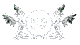 bigs logo